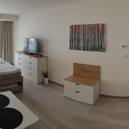 Apartment Korzo 318/3 リプノ・ナト・ヴルタヴォウ エクステリア 写真